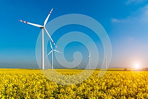 Sunset above windmills on the field