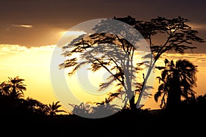 Sunset in africa