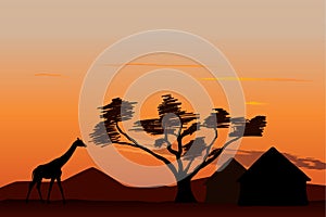 Sunset in Africa