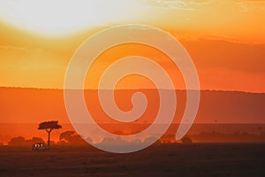 Sunset in Africa, savanna landscape with silhouette of flora and fauna