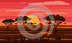 Sunset in Africa, savanna landscape with the silhouettes of trees, grass bushes horison orange Sun. Reserves and