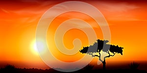 Sunset in Africa, savanna landscape vector illustration.