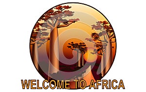 Sunset in the African baobab forest emblem 3