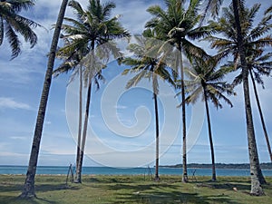 the sunset in the afternoon is very charmingÃ¯Â¿Â¼