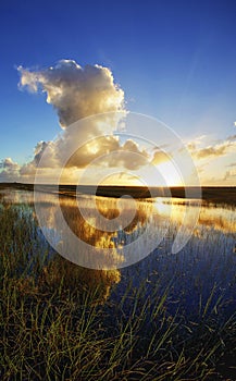 Sunset on the Airboat trails in the Florida Everglades