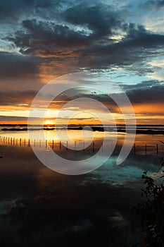 Sunset Albarella in Italy