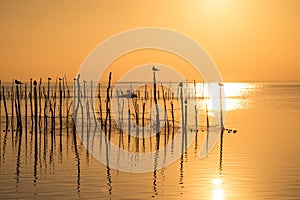 Sunset on Albufera lagoon