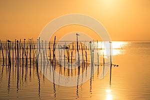 Sunset on Albufera lagoon photo