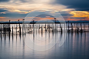 Sunset in the Albufera in Valencia