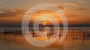 Sunset in Albufera of Valencia