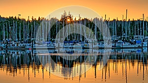 East Bay Sunset Olympia Washington photo