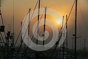 Sunset amidst the ship masts at the boatyard in Brookings, Oregon