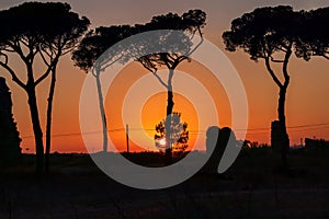 Sunset with ancient aqueduct and pine trees