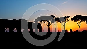 Sunset with ancient aqueduct and pine trees