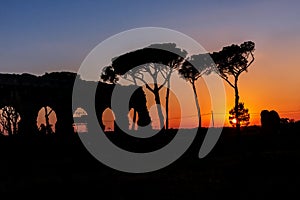 Sunset with ancient aqueduct and pine trees