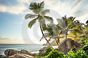 Sunset At Anse Intendance, Mahe Island, Seychelles photo