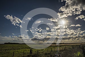 Sunset in Argentina Pasture fields and meadows