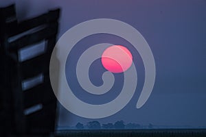 Sunset in Argentina Pasture fields and trees