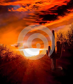 Sunset on the Arizona desert