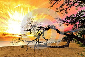 Sunset art Masoala photo
