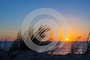 Sunset on atlantic ocean, beach grass silhouette in France