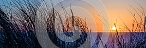 Sunset on atlantic ocean, beach grass silhouette in Lacanau France