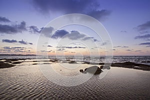 Sunset Atlantic Ocean view at Dar Bouazza rocky beach