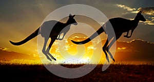 Západ slnka austrálsky klokan 