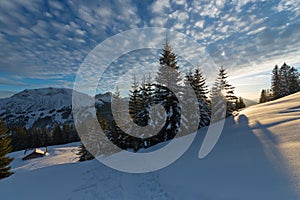 Sunset in austrian alps with last sunbeams through trees