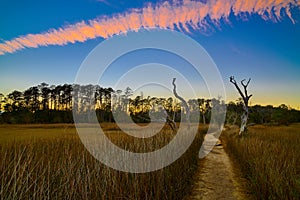 Sunset on the Avian Trail at Skidaway Island State Park, GA