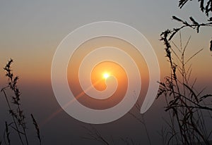 Sunset background and dry grass photo