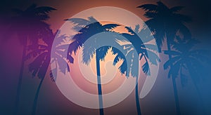 Sunset background, palm trees, Florida