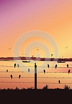 Sunset background with river. Silhouette of man in boat rowing