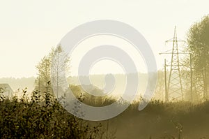 Sunset in background of the road and fields with grass and trees