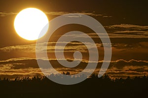 Sunset backlit on a grain wheat or barley field. Amazing sunset, dramatic scenic landscape.