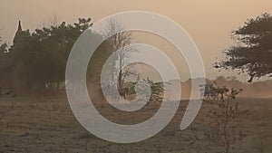 Sunset in Bagan with a horse cart