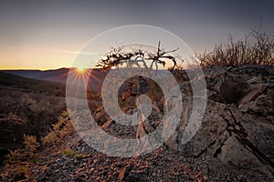 Sunset in the Bald Hills of Northern California