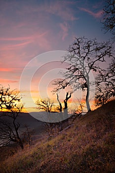 Sunset in the Bald Hills of Northern California