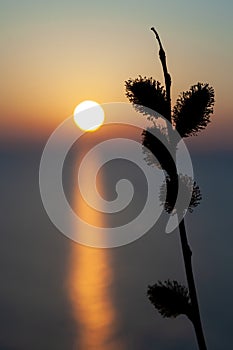 Sunset at the Baltic sea with beautiful soft light at goldenhour photo