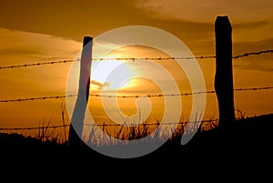 Sunset and barbed wire