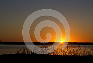 Sunset On Bay With Silhouette Beach Branches