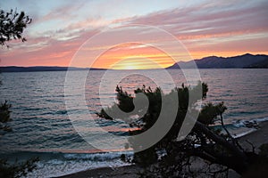 Sunset on the beach on the Adriatic coast in Croatia with a view of the islands, mountains, a silhouette of a pine tree against th