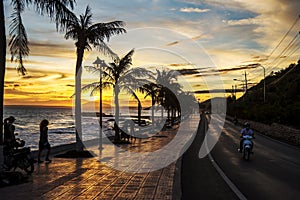 Sunset on the beach. Backlit sunlight illuminates the palm branches.