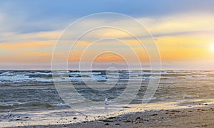 Sunset on the beach - blue hour - Usedom