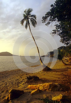 Sunset on the beach of Cayos Cochinos