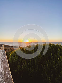 sunset on the beach with dune herbs