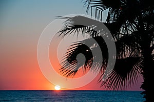 Sunset beach, evening sea, palm trees