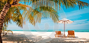 Sunset beach getaway couple destination scenic, honeymoon panoramic wallpaper. Palm tree idyllic sky sea sand