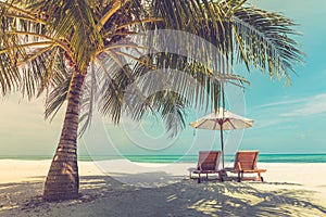 Sunset beach getaway couple destination scenic, honeymoon wallpaper. Palm tree idyllic sky sea sand