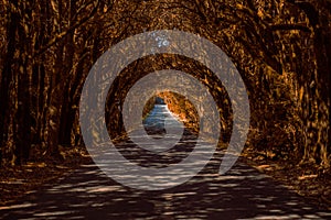 Sunset in a beach with lights